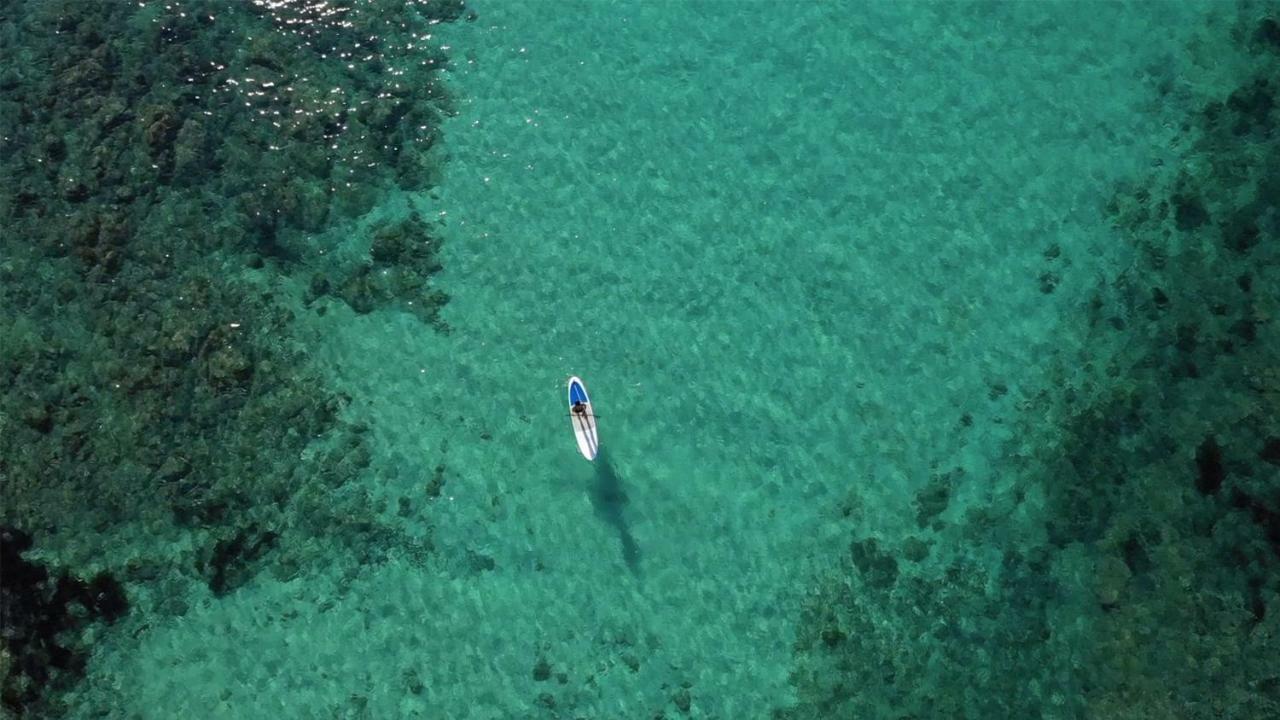 Son Caliu Oasis Palmanova